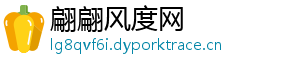 翩翩风度网	
